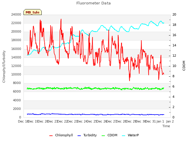 plot of Fluorometer Data