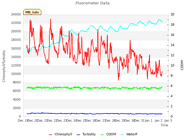 plot of Fluorometer Data