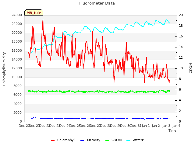 plot of Fluorometer Data