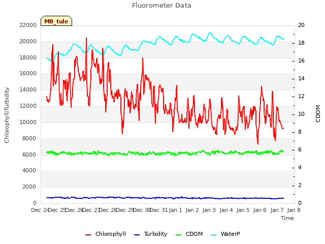 plot of Fluorometer Data