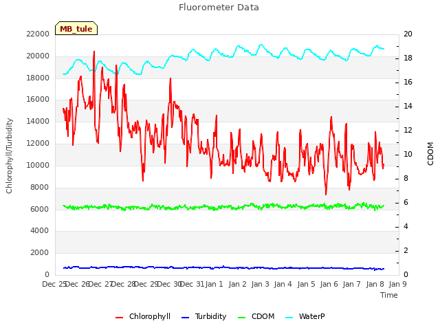 plot of Fluorometer Data