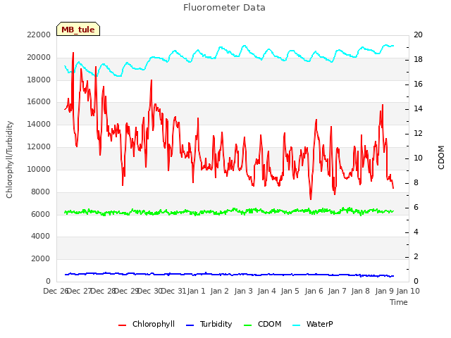 plot of Fluorometer Data