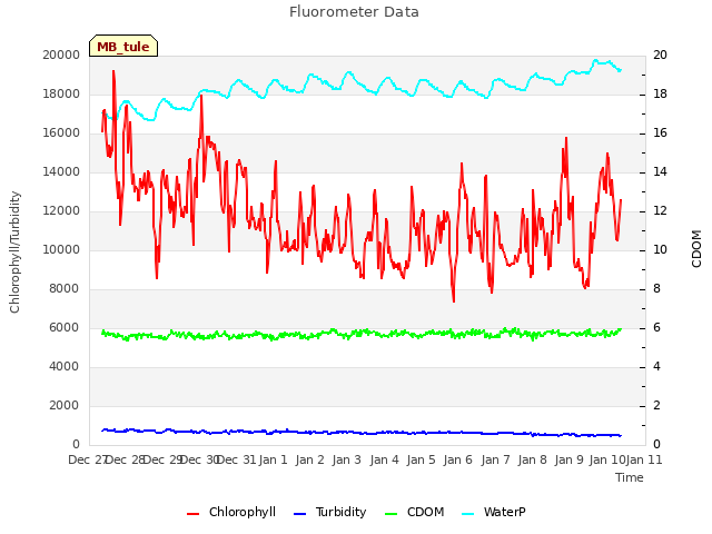 plot of Fluorometer Data