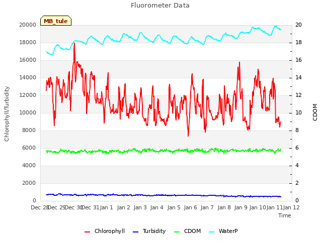 plot of Fluorometer Data