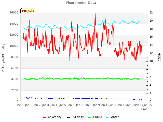 plot of Fluorometer Data