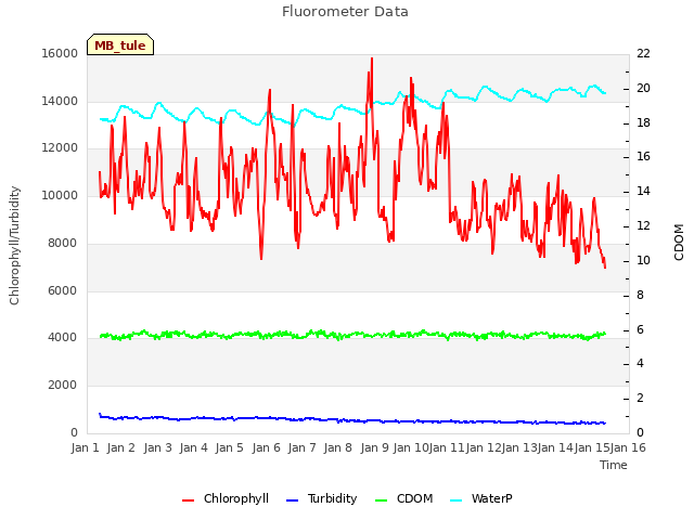 plot of Fluorometer Data