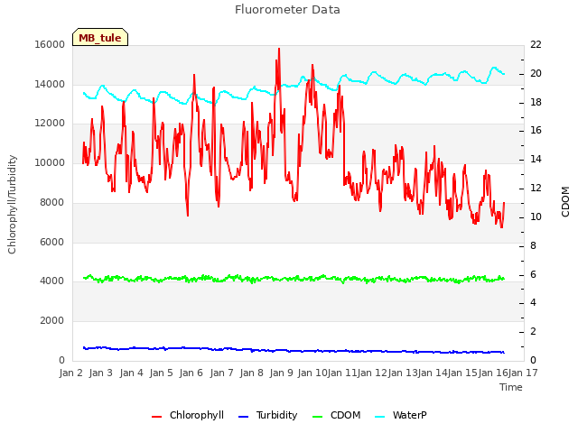 plot of Fluorometer Data