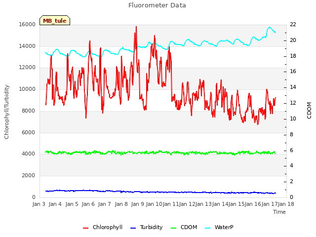 plot of Fluorometer Data