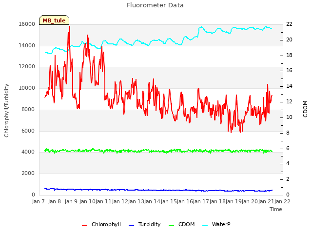 plot of Fluorometer Data