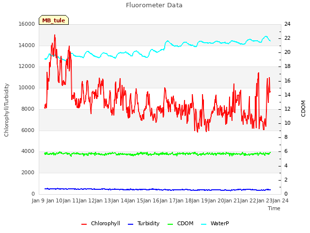 plot of Fluorometer Data