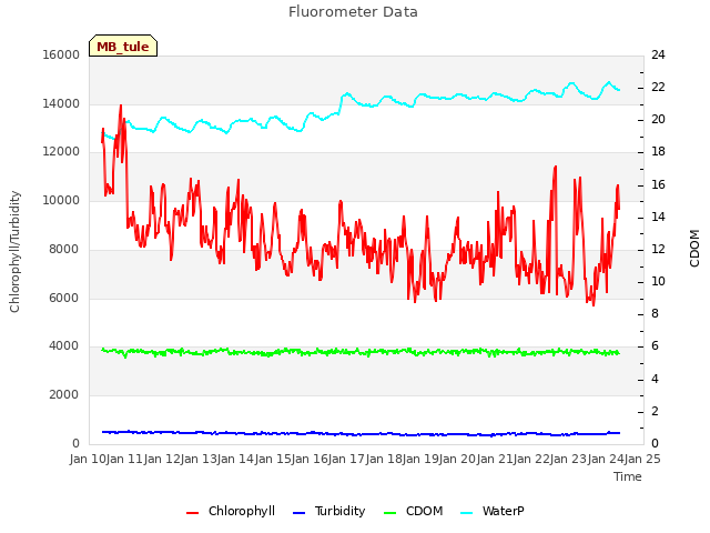 plot of Fluorometer Data