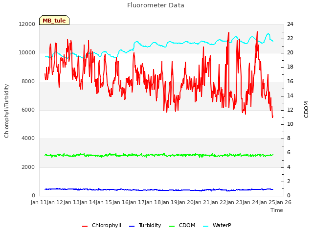 plot of Fluorometer Data