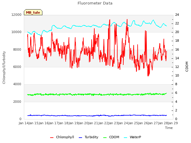 plot of Fluorometer Data