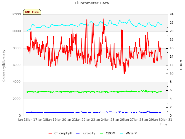 plot of Fluorometer Data