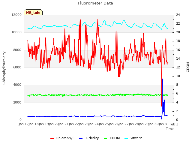 plot of Fluorometer Data