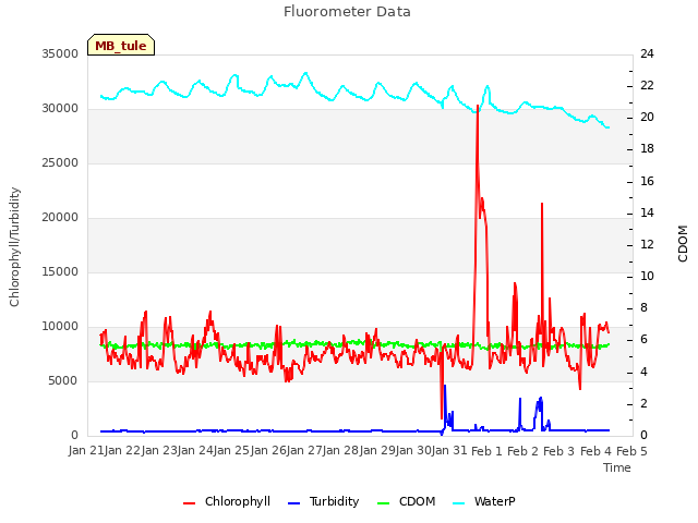 plot of Fluorometer Data