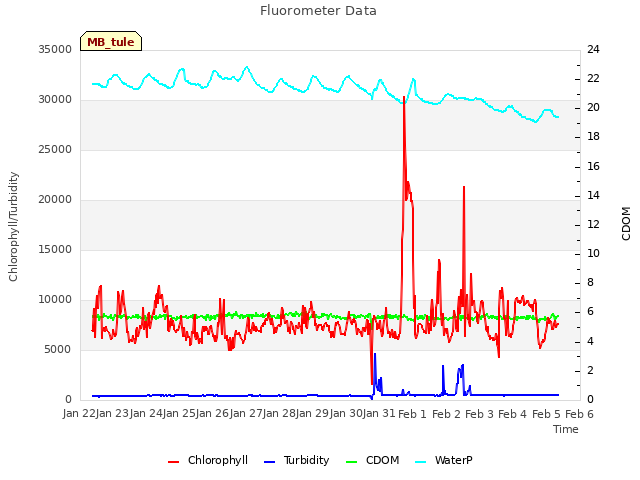plot of Fluorometer Data