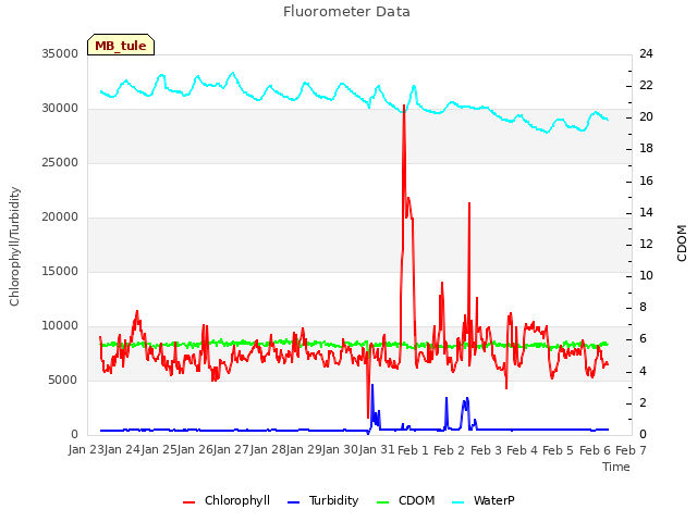 plot of Fluorometer Data