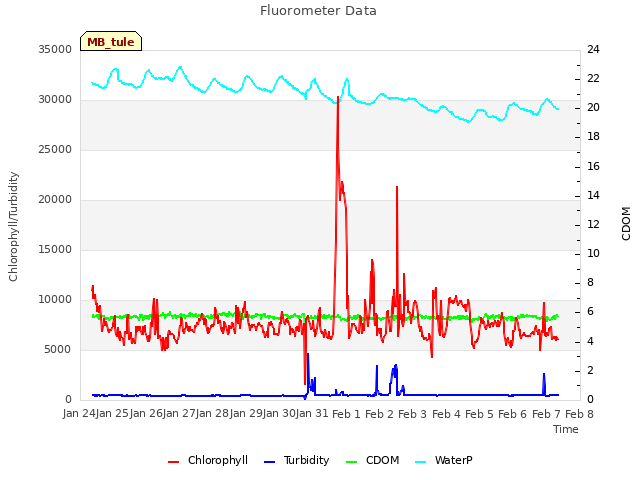 plot of Fluorometer Data