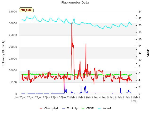 plot of Fluorometer Data