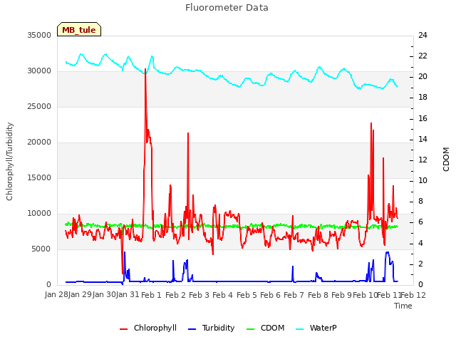 plot of Fluorometer Data