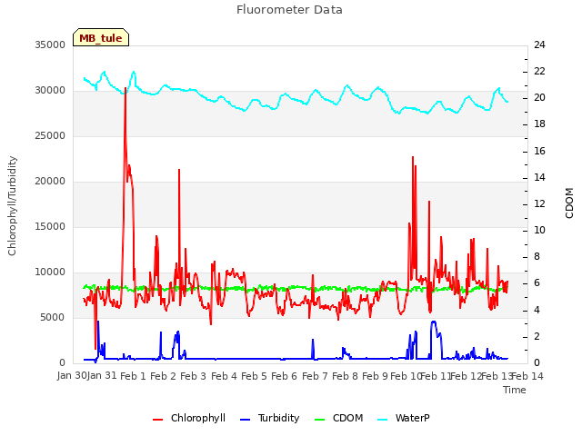 plot of Fluorometer Data