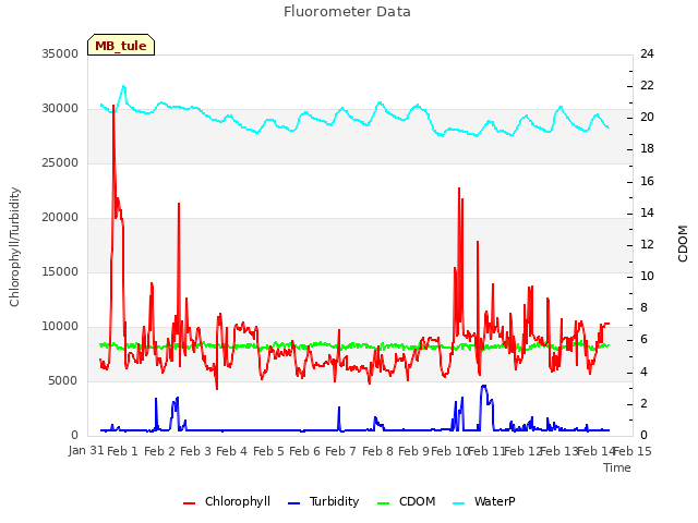 plot of Fluorometer Data