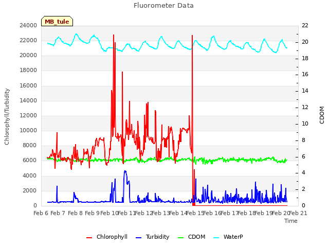 plot of Fluorometer Data