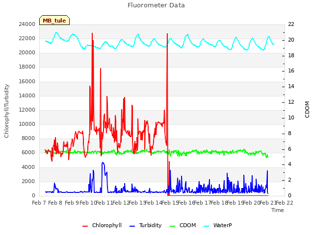 plot of Fluorometer Data