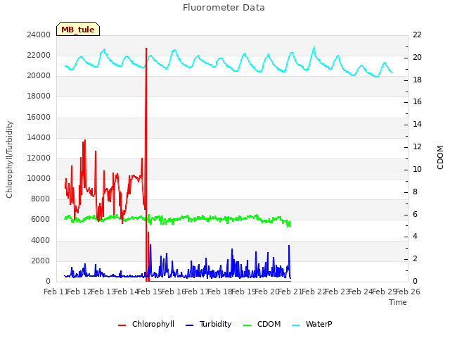 plot of Fluorometer Data