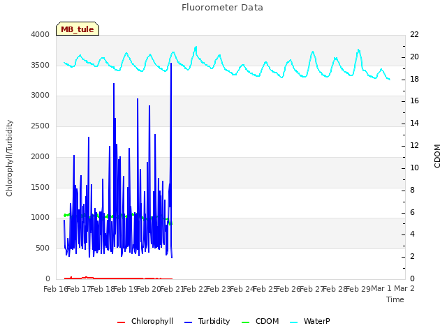 plot of Fluorometer Data