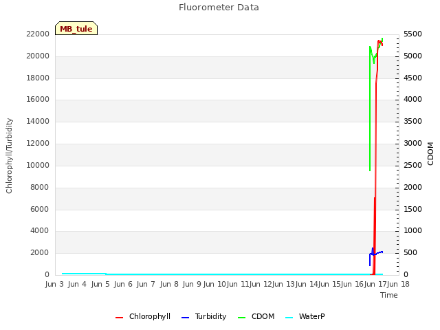 plot of Fluorometer Data