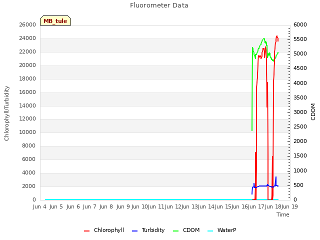 plot of Fluorometer Data