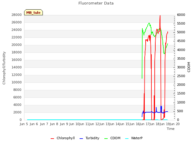 plot of Fluorometer Data