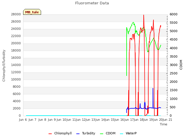 plot of Fluorometer Data