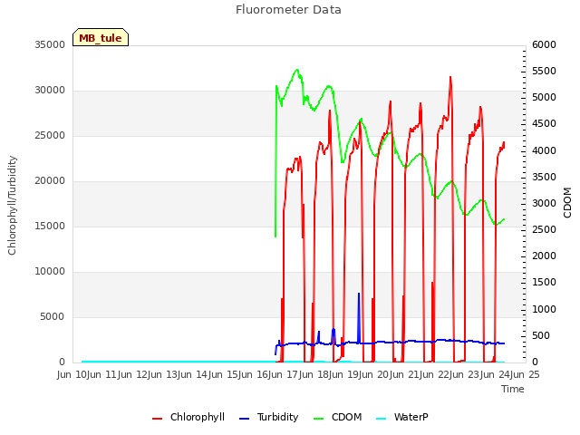 plot of Fluorometer Data