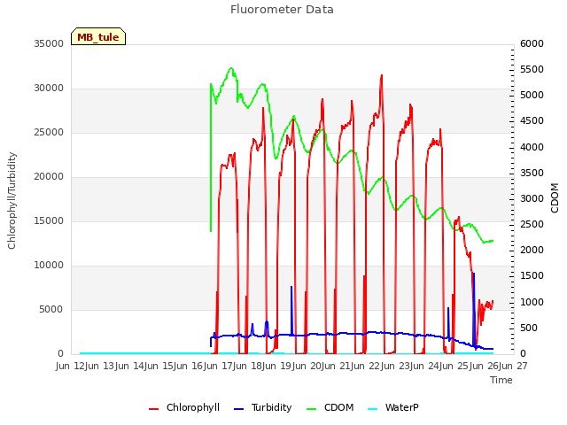 plot of Fluorometer Data