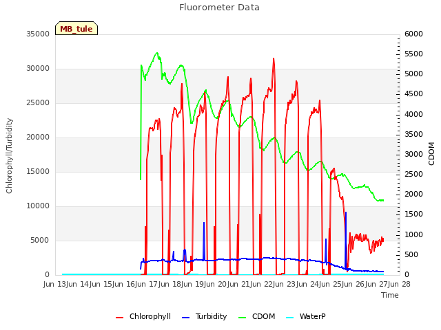 plot of Fluorometer Data