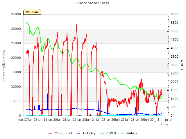 plot of Fluorometer Data