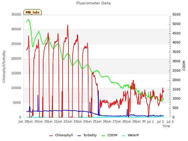 plot of Fluorometer Data