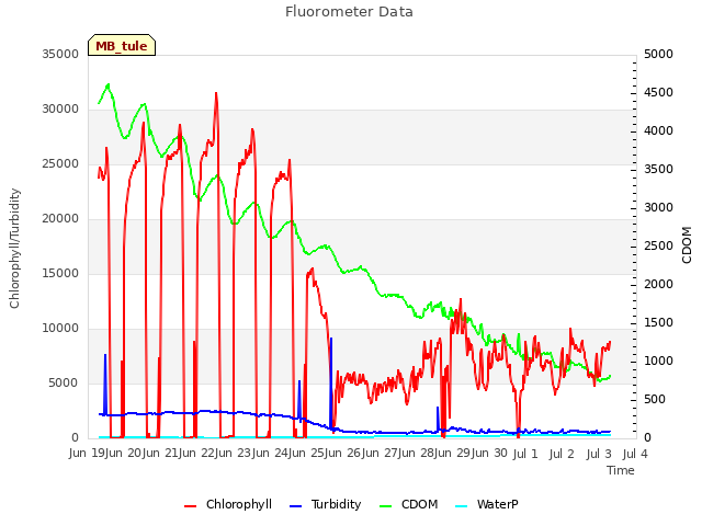 plot of Fluorometer Data