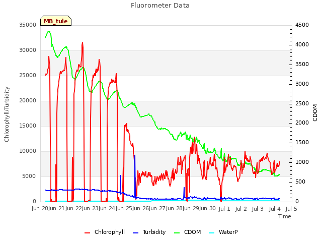 plot of Fluorometer Data