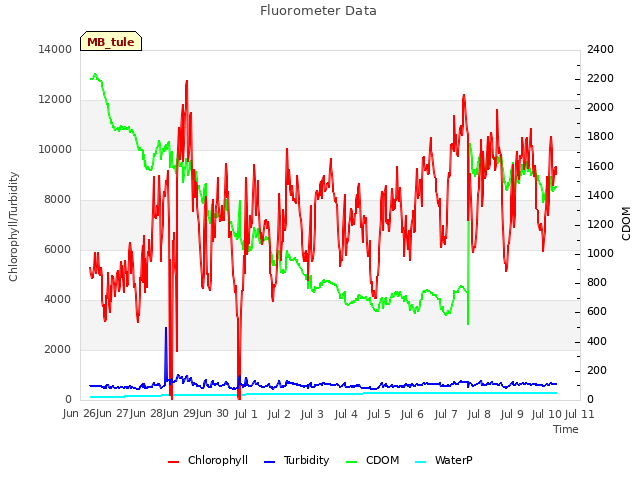 plot of Fluorometer Data