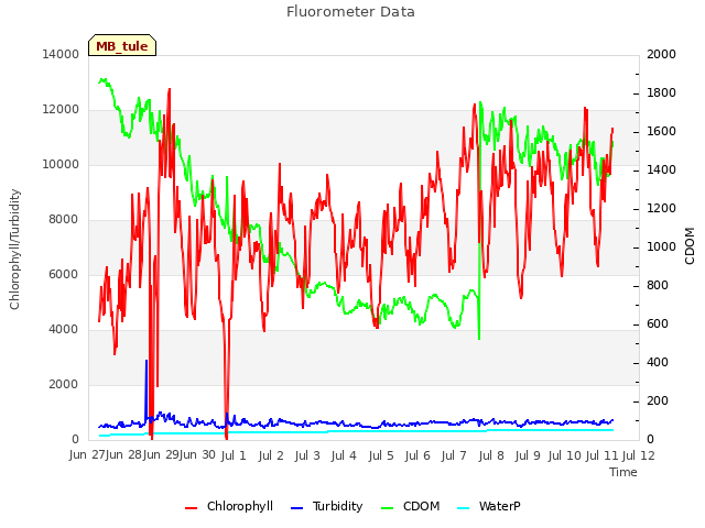 plot of Fluorometer Data