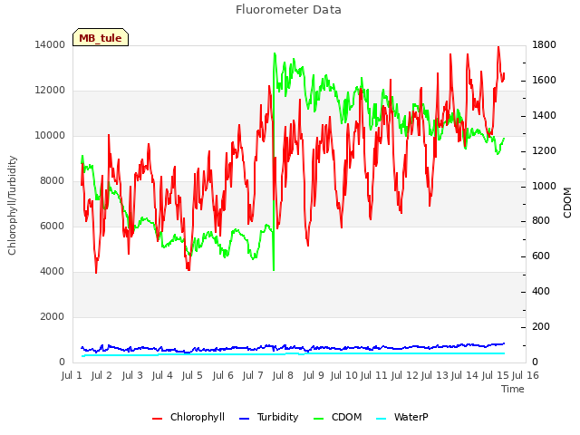 plot of Fluorometer Data