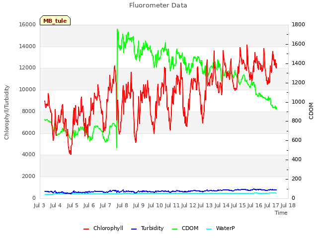 plot of Fluorometer Data