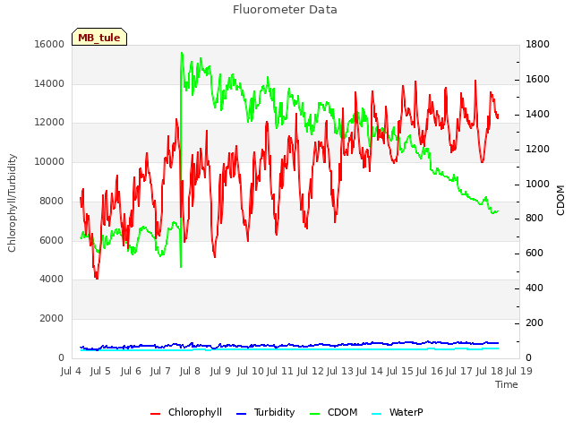 plot of Fluorometer Data