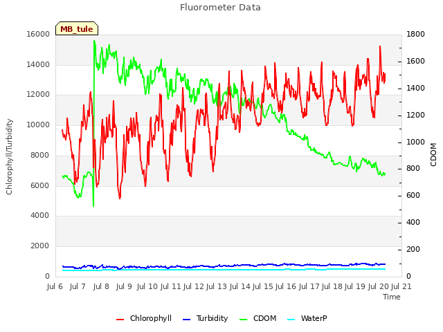 plot of Fluorometer Data