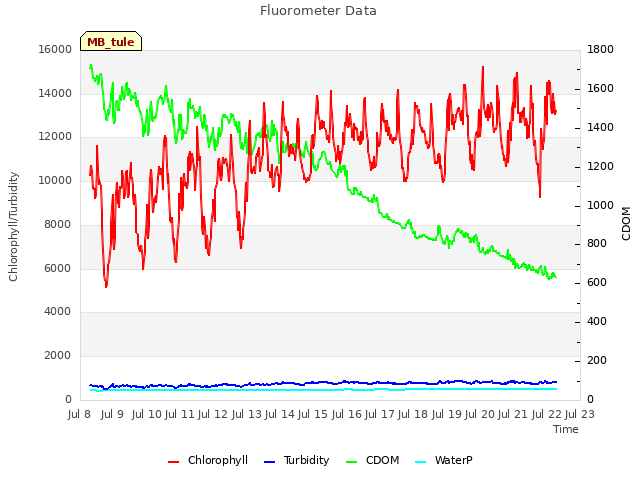 plot of Fluorometer Data