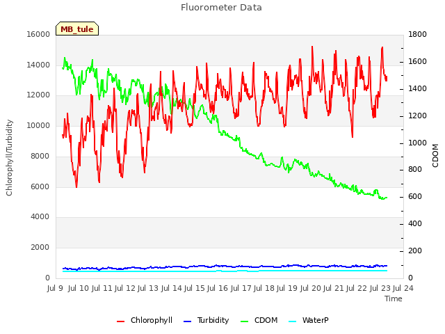 plot of Fluorometer Data